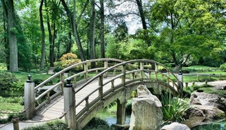 Novi Sad dobija park uređen u japanskom stilu