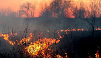 Požar na Fruškoj gori, nastradala jedna osoba