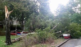 FOTO: Olujni vetar rušio stabla i lomio grane