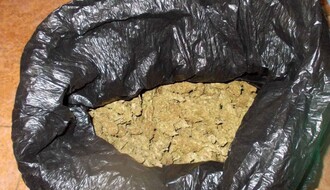 FOTO: U dva stana u Novom Sadu krio 1,7 kilograma "trave"