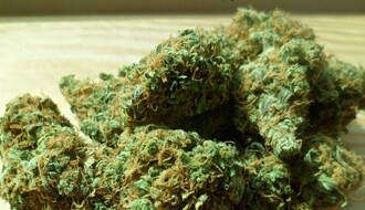 U stanu Karlovčanina pronađeno 325 grama marihuane