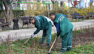 Na Bulevaru Mihajla Pupina i u Dunavskom parku posađeno još 18 stabala