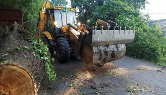 FOTO: Tokom jučerašnjeg nevremena izvaljena dva stabla, jedno preprečilo put na Ribarcu