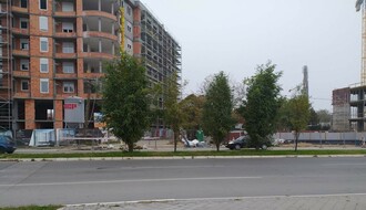 "Zelenilo" premešta bagremove sa Bulevara Evrope u Limanski park