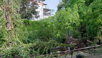 Zatvaraju se svi novosadski parkovi zbog sanacije štete od orkanske oluje (FOTO)