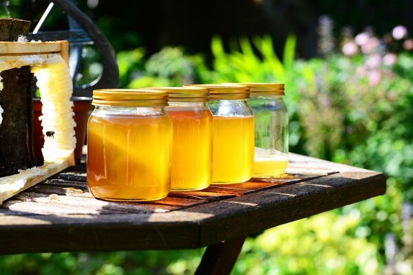 ISTRAŽIVANJE: Med u nekim slučajevima efikasniji od antibiotika